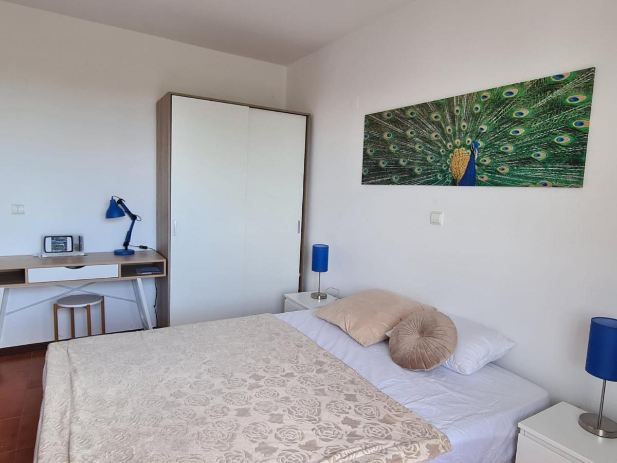 Scenic Comfort D Ponta Delgada  Dış mekan fotoğraf